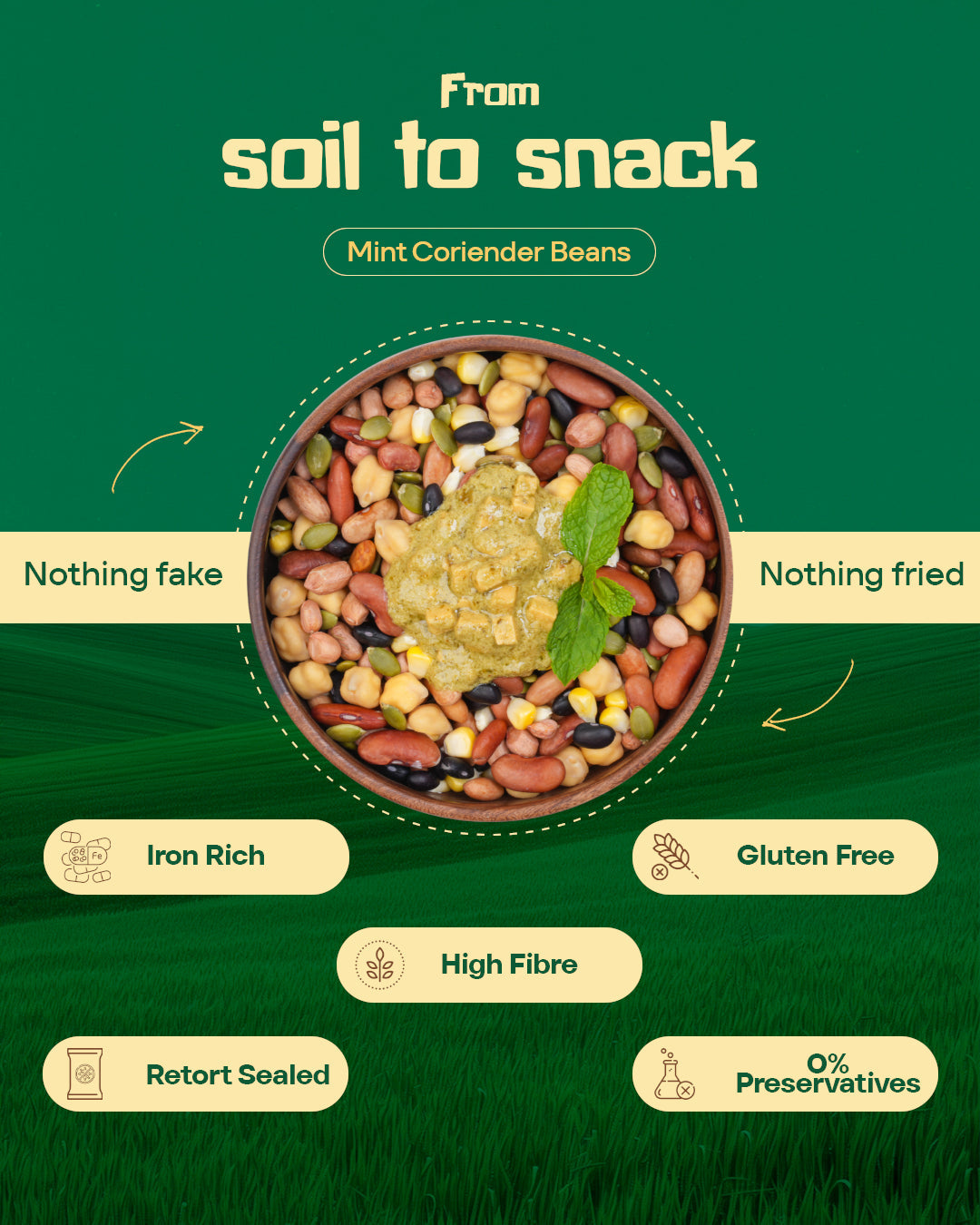 Zesty Mint Coriander Beans | Ready-to-Eat Protein | Australia